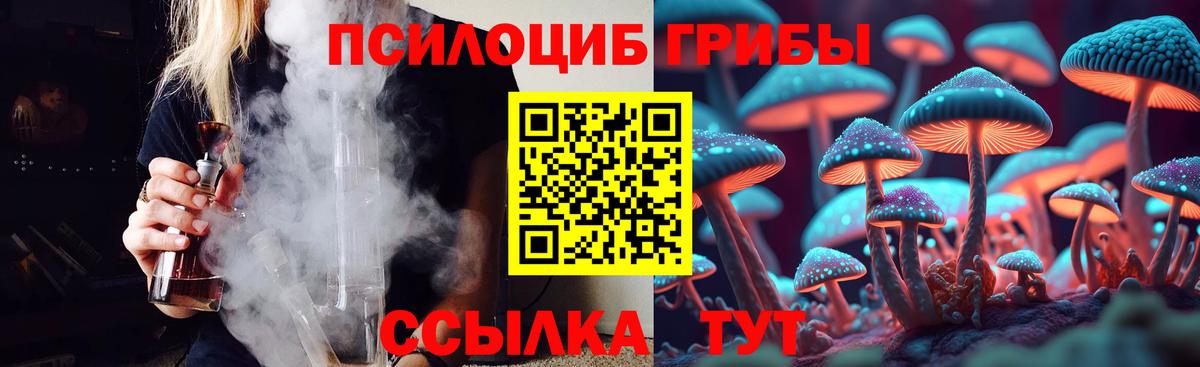 Псилоцибиновые грибы прущие грибы Владимир